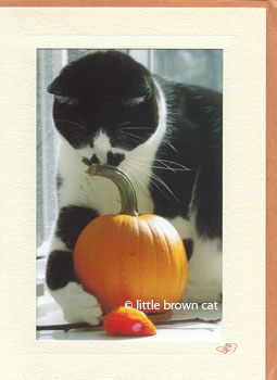 Trick or Treat Notecard
